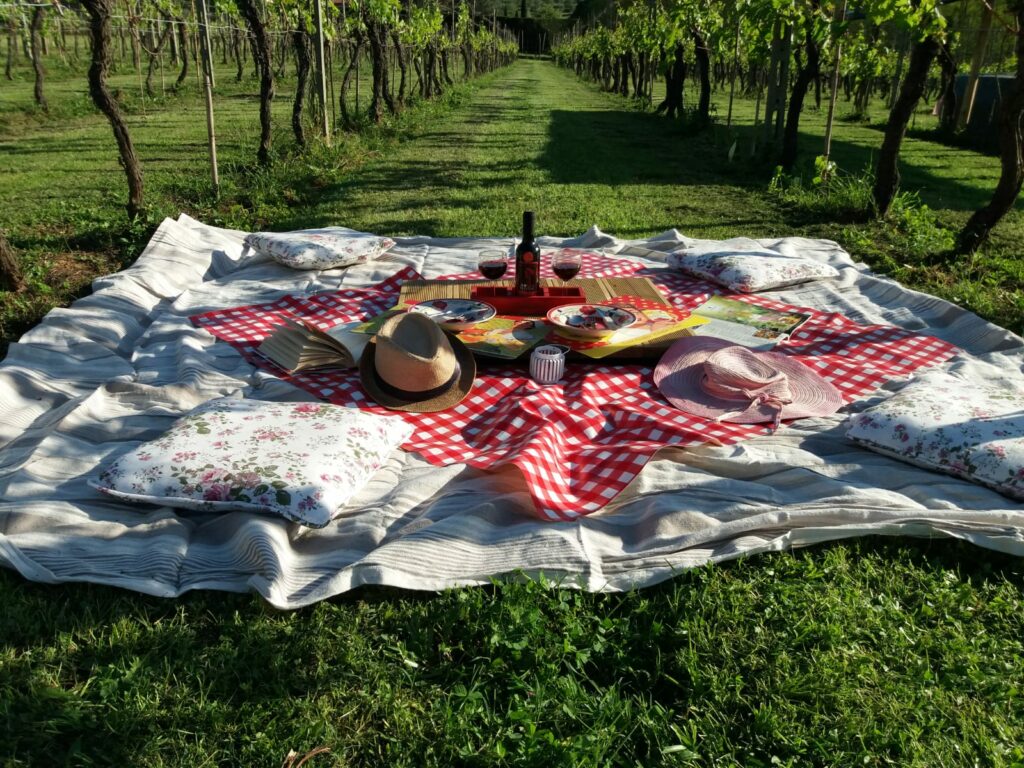 Suggestivo picnic tra i filari della vigna in azienda vitivinicola